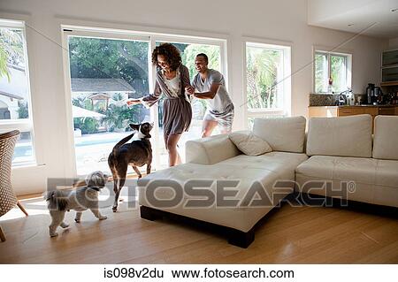 Stock Photograph - Couple in room with pet dogs. Fotosearch