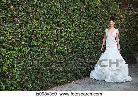 Stock Image - Young woman wearing wedding dress, standing by hedge. Fotosearch