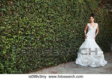 Young woman wearing wedding dress, standing by hedge View Large Photo Image Stock Photo - Young woman wearing wedding dress, standing by hedge. Fotosearch