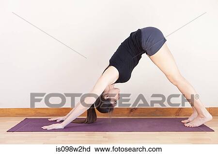 Stock Image - Woman in downward facing dog position during yoga. Fotosearch