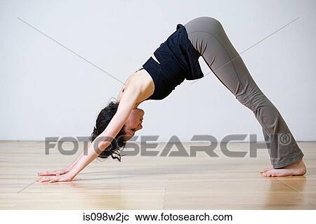 Woman in downward facing dog position during yoga View Large Photo Image Stock Image - Woman in downward facing dog position during yoga. Fotosearch