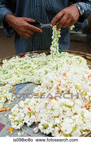Cutting flower garlands in market in Mysore, Karnataka View Large Photo Image Picture - Cutting flower garlands in market in Mysore, Karnataka. Fotosearch