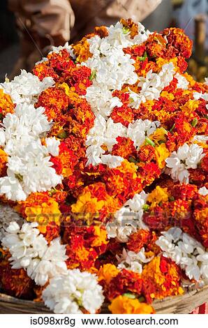 Indian flower garlands for sale outside temple in Mysore, Karnataka View Large Photo Image Stock Image - Indian flower garlands for sale outside temple in Mysore, Karnataka. Fotosearch
