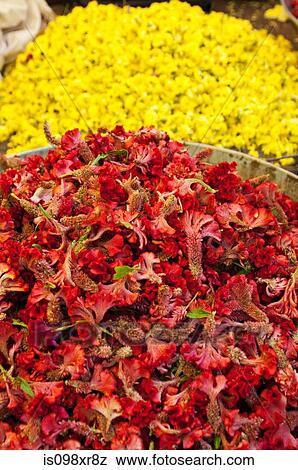 Red and yellow flowers for sale at market, Mysore, Karnataka View Large Photo Image Stock Photo - Red and yellow flowers for sale at market, Mysore, Karnataka. Fotosearch