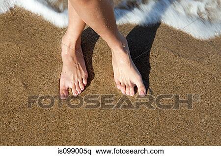 Stock Photography - Woman's bare feet on sandy beach. Fotosearch