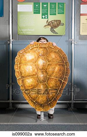 Boy standing behind loggerhead sea turtle shell View Large Photo Image Stock Image - Boy standing behind loggerhead sea turtle shell. Fotosearch