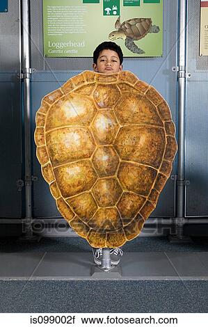Stock Image - Boy standing behind loggerhead sea turtle shell. Fotosearch