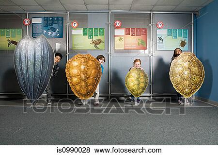Four friends standing behind sea turtle shells View Large Photo Image Stock Photo - Four friends standing behind sea turtle shells. Fotosearch