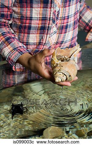Stock Image - Girl holding sea shell in aquarium. Fotosearch