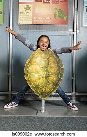 Girl standing behind kemps ridley sea turtle shell View Large Photo Image Stock Image - Girl standing behind kemps ridley sea turtle shell. Fotosearch
