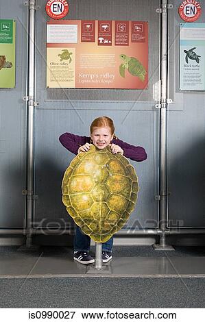 Girl standing behind kemps ridley sea turtle shell View Large Photo Image Stock Photo - Girl standing behind kemps ridley sea turtle shell. Fotosearch