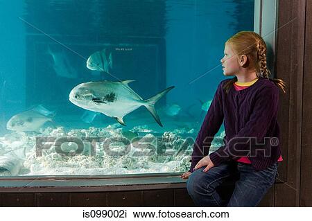 Stock Image - Girl watching fish in aquarium. Fotosearch