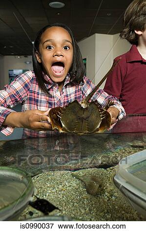 Stock Photo - Surprised girl holding ray fish in aquarium. Fotosearch