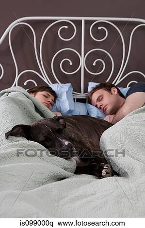 Young couple asleep in bed with dog View Large Photo Image Stock Photography - Young couple asleep in bed with dog. Fotosearch