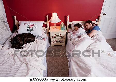 Young couple sharing single bed, dog asleep on other bed View Large Photo Image Stock Image - Young couple sharing single bed, dog asleep on other bed. Fotosearch