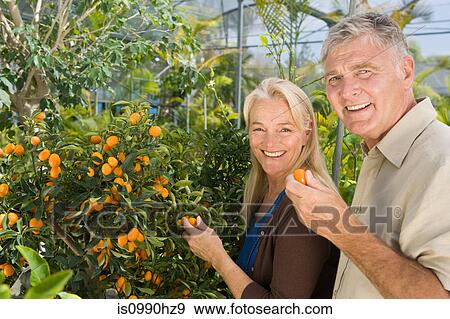 Stock Photo - Couple by fruit tree. Fotosearch