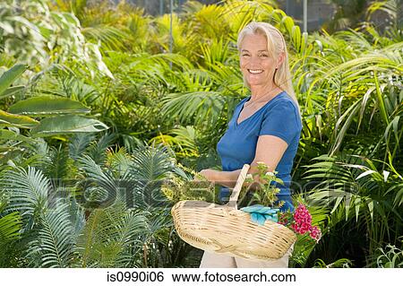 Stock Photograph - Mature woman amongst plants with basket. Fotosearch