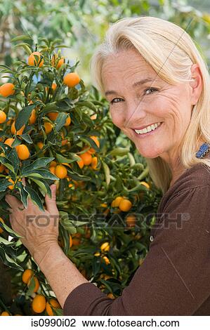 Stock Image - Mature woman by fruit tree. Fotosearch
