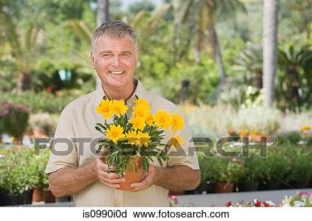 Senior man with pot plant at garden centre View Large Photo Image Stock Image - Senior man with pot plant at garden centre. Fotosearch