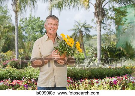 Senior man with pot plant at garden centre View Large Photo Image Stock Image - Senior man with pot plant at garden centre. Fotosearch