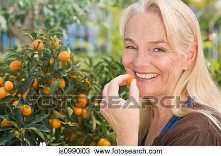 Woman tasting kumquat from tree View Large Photo Image Stock Image - Woman tasting kumquat from tree. Fotosearch