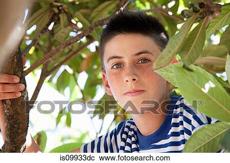 Stock Image - Boy climbing tree, portrait. Fotosearch
