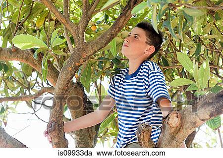 Stock Image - Boy climbing tree. Fotosearch