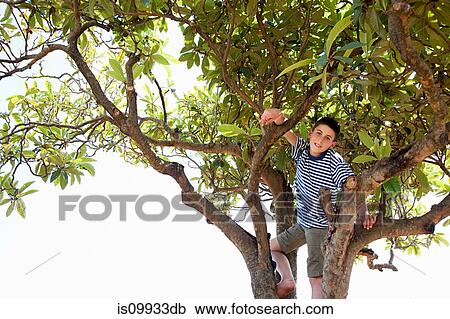 Stock Image - Boy climbing tree. Fotosearch