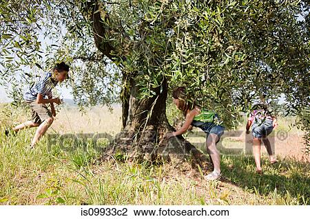 Children playing by tree View Large Photo Image Stock Image - Children playing by tree. Fotosearch