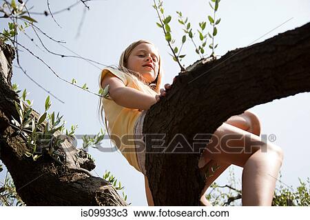 Stock Image - Girl sitting on tree branch, low angle. Fotosearch