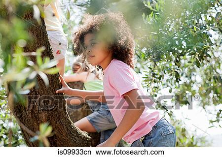 Girls climbing tree View Large Photo Image Picture - Girls climbing tree. Fotosearch