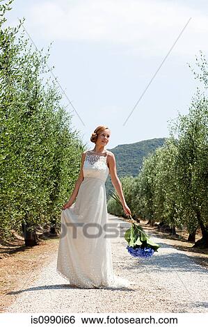 Bride on country road holding bouquet View Large Photo Image Stock Photograph - Bride on country road holding bouquet. Fotosearch