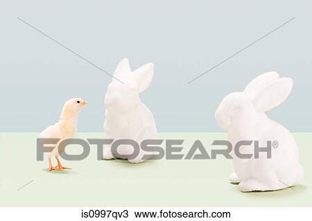 Chick looking at ceramic rabbits in studio View Large Photo Image Stock Image - Chick looking at ceramic rabbits in studio. Fotosearch