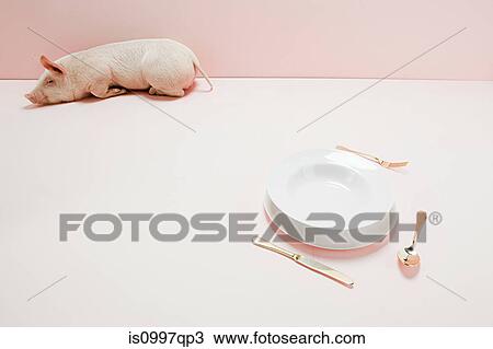 Stock Image - Piglet near empty plate in pink studio. Fotosearch