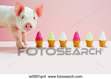 Piglet next to row of toy ice cream cones, studio shot View Large Photo Image Picture - Piglet next to row of toy ice cream cones, studio shot. Fotosearch