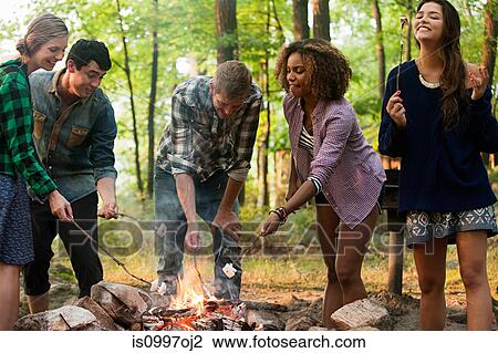 Friends cooking over campfire in forest View Large Photo Image Stock Image - Friends cooking over campfire in forest. Fotosearch