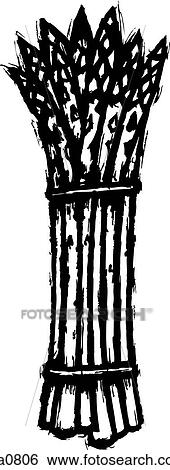 Stock Illustration - asparagus bunch b&w. Fotosearch