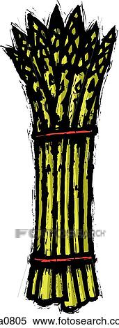 asparagus bunch View Large Illustration Stock Illustration - asparagus bunch. Fotosearch