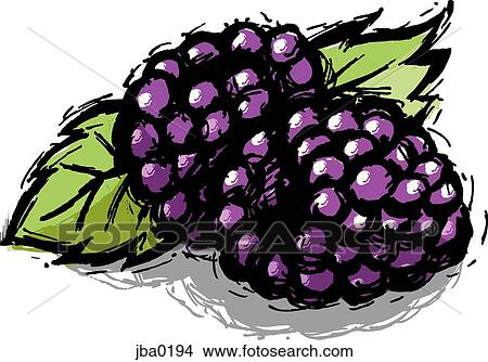 blackberries View Large Illustration Stock Illustration - blackberries. Fotosearch