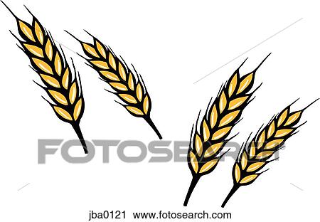 bunch of wheat View Large Illustration Clip Art - bunch of wheat. Fotosearch