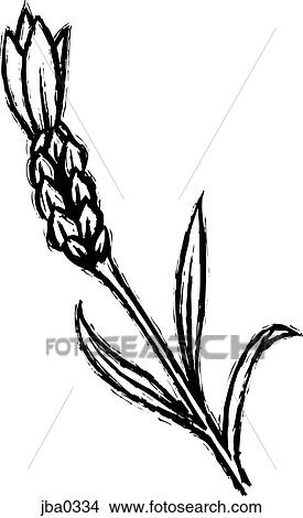 Stock Illustration - flower b&w. Fotosearch