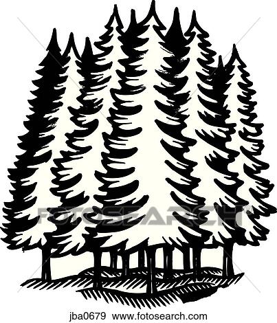 forest b&w View Large Illustration Stock Illustration - forest b&w. Fotosearch