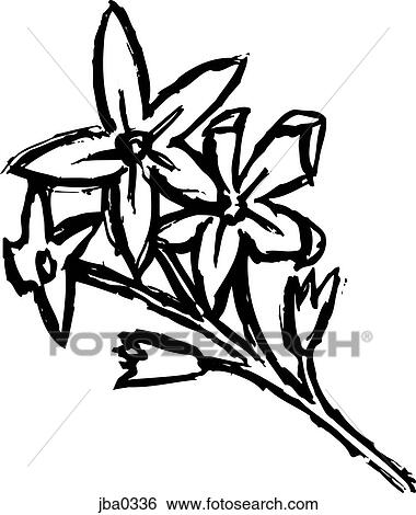 forget me nots b&w View Large Illustration Stock Illustration - forget me nots b&w. Fotosearch