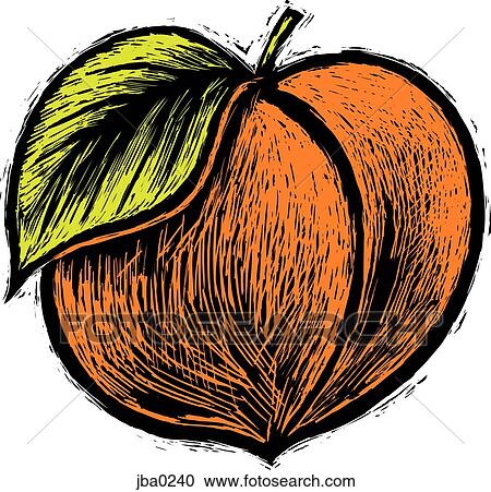 Clipart - fuzzy peach. Fotosearch