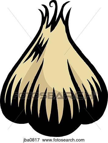 garlic cloves View Large Illustration Stock Illustration - garlic cloves. Fotosearch