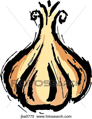 Stock Illustration - garlic. Fotosearch