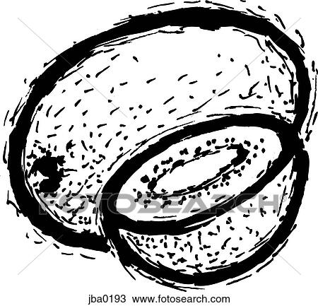 kiwi b&w View Large Illustration Drawing - kiwi b&w. Fotosearch