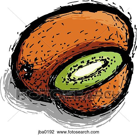 kiwi View Large Illustration Drawing - kiwi. Fotosearch