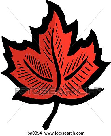 maple leaf View Large Illustration Stock Illustration - maple leaf. Fotosearch