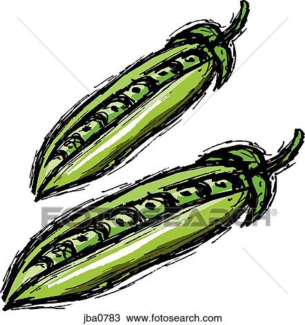 Drawing - peas in a pod. Fotosearch